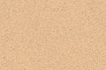Altro Contrax Spring Beige CX2016N Sparkle Safety Flooring